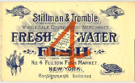 Freshwater Fish illus. trade card